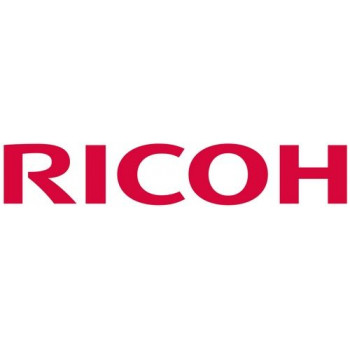 Опция для оргтехники Ricoh D0192538