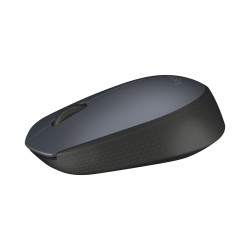 Мышь Logitech M170 910-004642