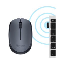 Мышь Logitech M170 910-004642