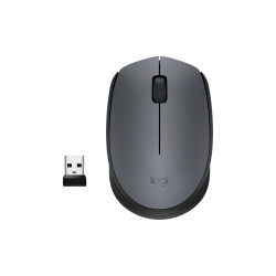 Мышь Logitech M170 910-004642