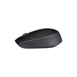 Мышь Logitech M171 Black (910-004643)