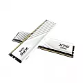 Модуль памяти ADATA AX5U5600C468G-DTLABWH 16 ГБ DDR5-5600 DIMM
