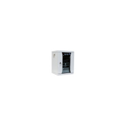 Шкаф телекоммуникационный настенный ЦМО ШРН-12.255-10