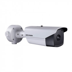 IP-камера Hikvision DS-2TD2117-6/V1