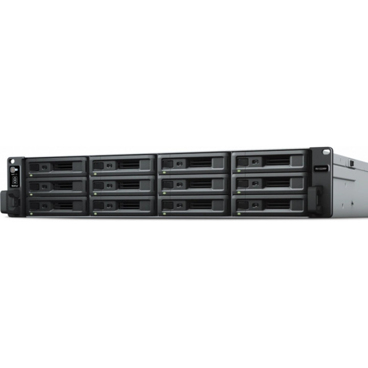 Модуль расширения Synology RX1223RP (12x SATA3, горячая замена, RAID)