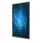Промышленный монитор Winmate W15L100-PTA3 (15.6", Full HD, 400 нит, IP65, проекционно-ёмкостный)