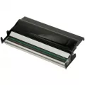 Печатающая головка Zebra P1115690