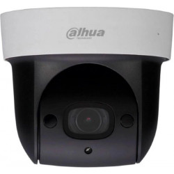 IP-камера Dahua DH-SD29204UE-GN