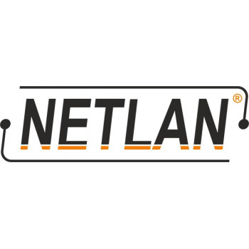 Шкаф NETLAN EC-FZ-246060-MMM-GY