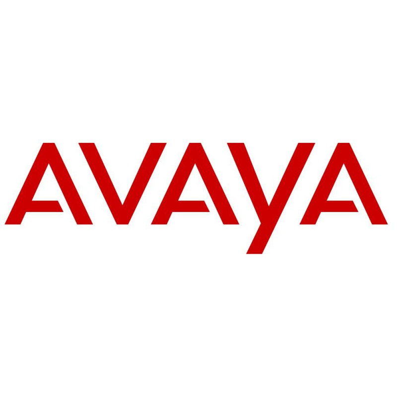 Модуль памяти Avaya 700476419