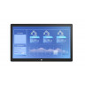 Промышленный монитор IEI DM2-W238K
