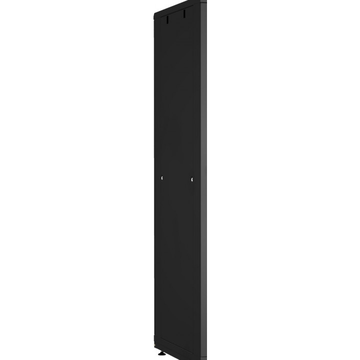 Боковые стенки для шкафа TLK TFR-2-4210-MM-R-BK (цельнометаллические, для серии TFR 42U, глубина 1000 мм, черные) Боковые стенки для шкафа TLK TFR-2-4210-MM-R-BK (цельнометаллические, для серии TFR 42U, глубина 1000 мм, черные)