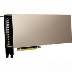Профессиональная видеокарта PNY TCSA40M-PB
