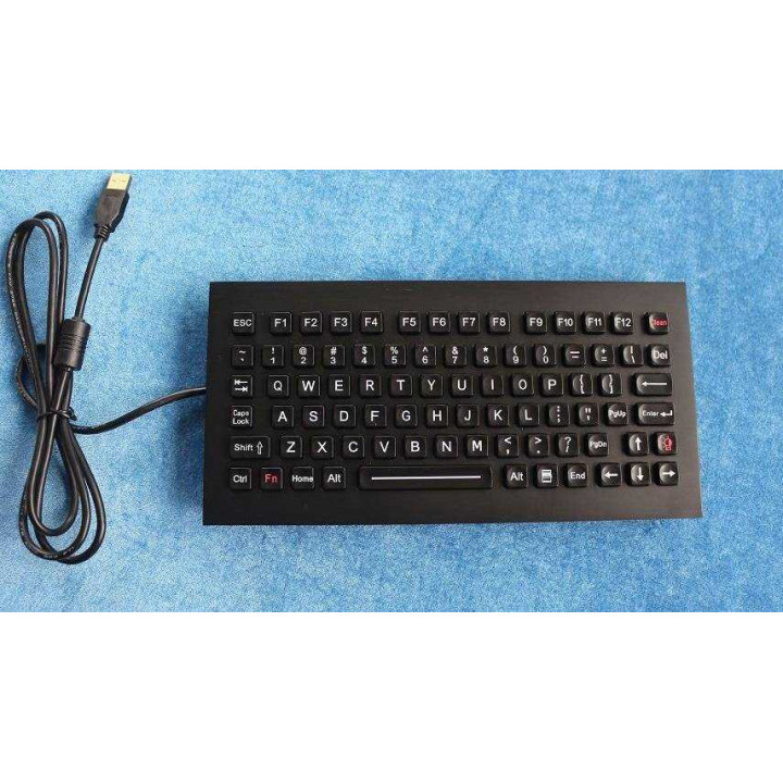 Клавиатура промышленная Key Technology K-TEK-M263-FN-BL-BT-DWP-US/RU-USB (встраиваемая, IP65, русифицированная, с подсветкой, USB) Клавиатура промышленная Key Technology K-TEK-M263-FN-BL-BT-DWP-US/RU-USB (встраиваемая, IP65, русифицированная, с подсветкой, USB)