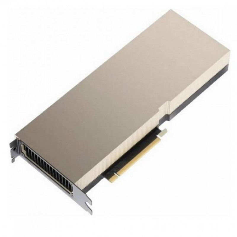 Профессиональная видеокарта PNY TCSA100M-80GB-PB