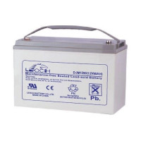 Аккумулятор Leoch DJM1290