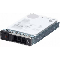 Жесткий диск 24TB SAS Dell (161-BCNJ)