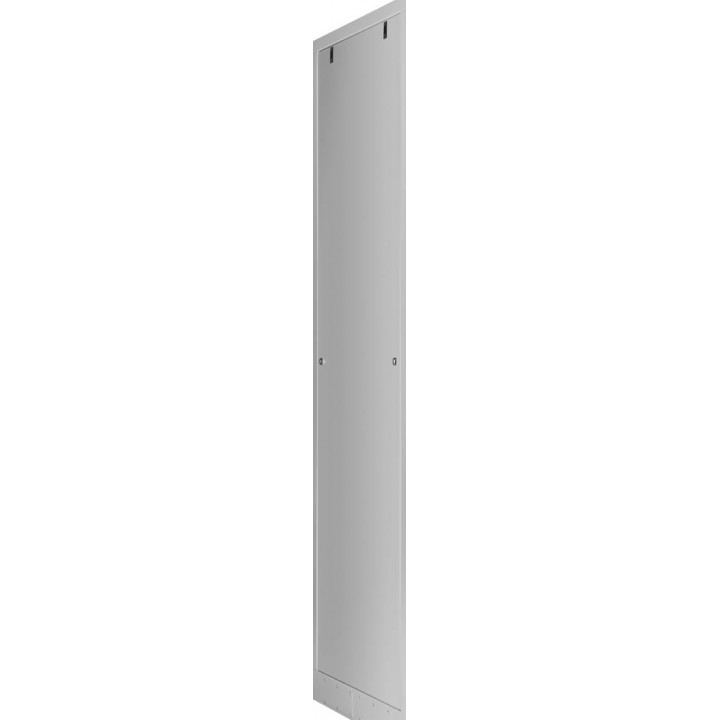 Боковые стенки для шкафа TLK TFA-4210-MM-R-GY (для TFA-R 42U, глубина 1000мм, цельнометаллические, серые) Боковые стенки для шкафа TLK TFA-4210-MM-R-GY (для TFA-R 42U, глубина 1000мм, цельнометаллические, серые)