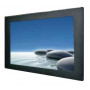 Промышленный монитор Winmate W22L100-PMA3/GS/Audio (21.5", 1920x1080, VGA, HDMI, DVI-D, динамики)