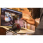 Микрофон Shure MV5-B-DIG (цифровой, кардиоидный, конденсаторный, MOTIV, черный)