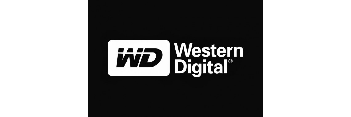 PORT IT получил статус  Western Digital уровня Silver