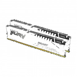 Модуль памяти Kingston KF556C36BBEK2-32 32 ГБ DDR5-5600 DIMM Модуль памяти Kingston KF556C36BBEK2-32 32 ГБ DDR5-5600 DIMM