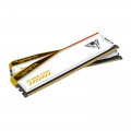 Модуль памяти Patriot Viper Elite 5 TUF Gaming RGB DDR5-6000 48 ГБ (2×24 ГБ) PVER548G60C36KT