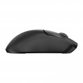 Мышь беспроводная Acer ZL.MCECC.035