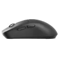 Мышь беспроводная Acer ZL.MCECC.05C