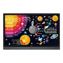 Панель LCD 65" BenQ RP6501K