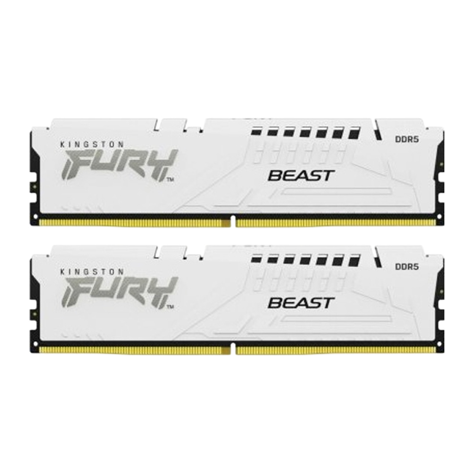 Модуль памяти Kingston KF556C36BWEK2-32 32 ГБ DDR5-5600 DIMM